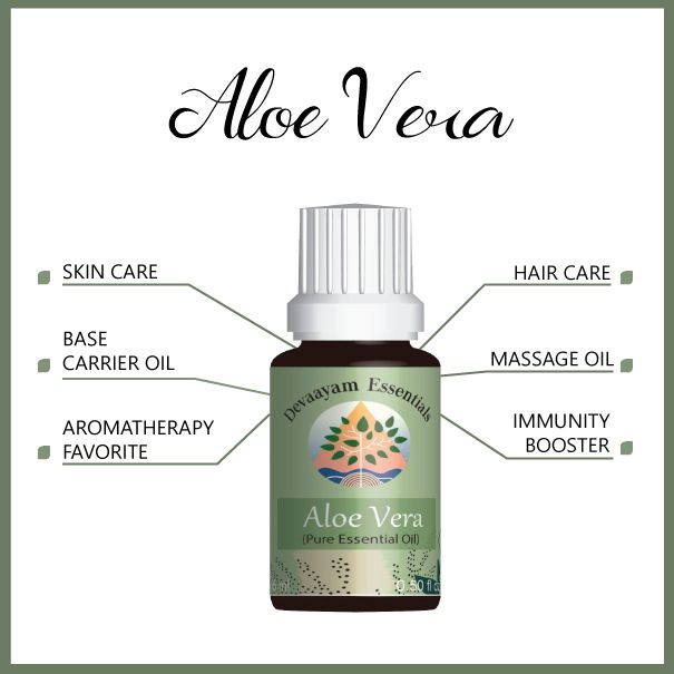 Aloe Vera Essential Oil