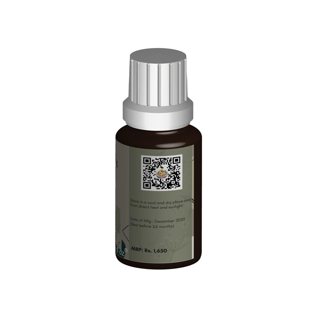 Aniseed Essential Oil