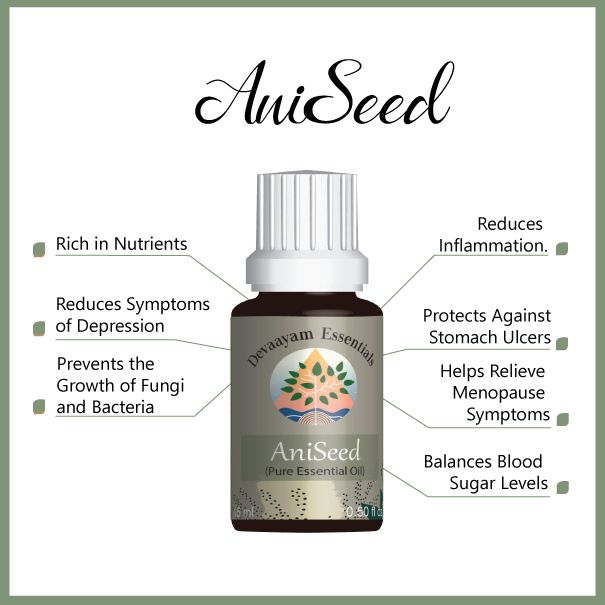 Aniseed Essential Oil