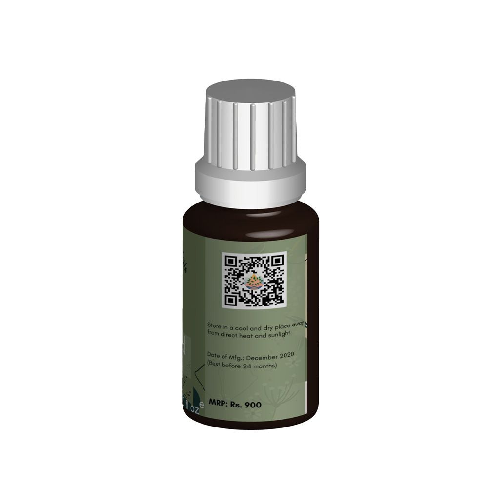 Fennel Seed Essential Oil