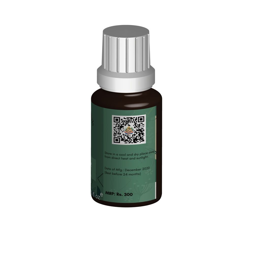 Pine Needle Essential OIl