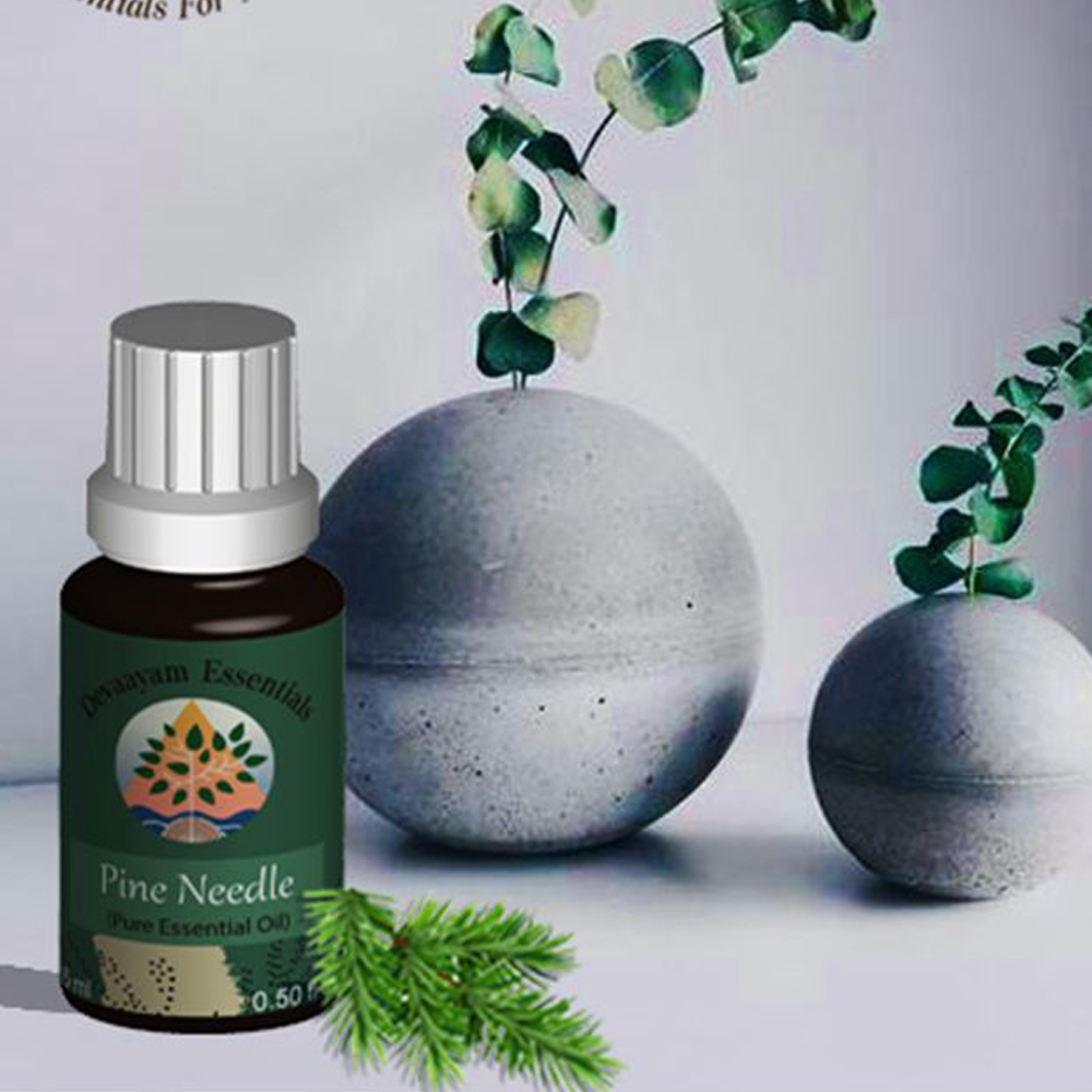 Pine Needle Essential OIl