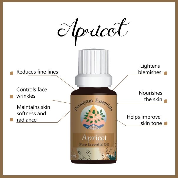 Apricot
