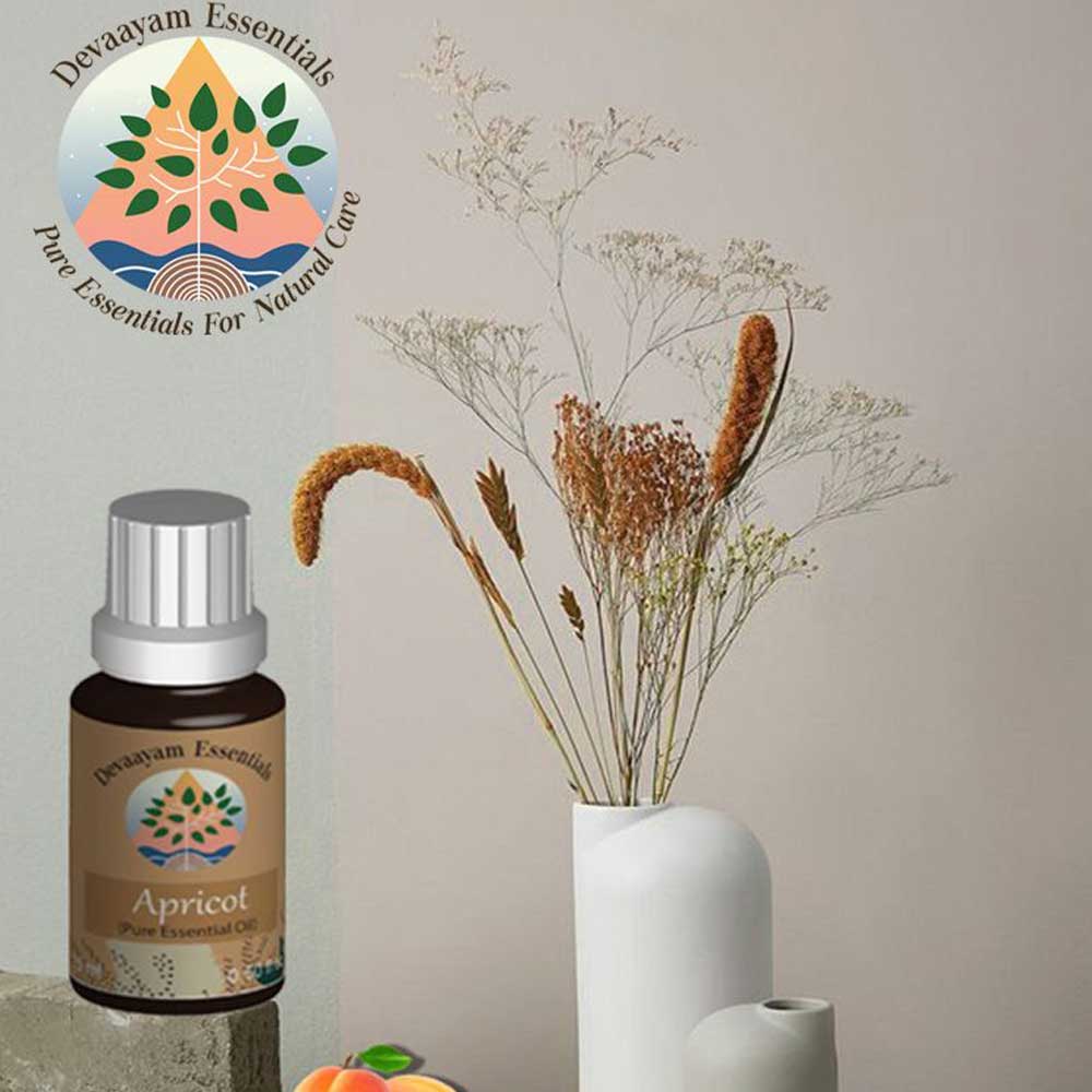 Apricot