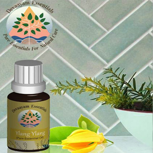 Ylang Ylang